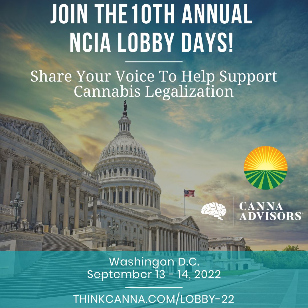 cannaadvisors's tweet photo. Don't forget: join us 9/13 - 14 for the 10th annual NCIA Lobby Days. Come support cannabis legalization: https://t.co/HPEQQLLShu
#cannabis #marijuana #cannabisindustry #cannabisbusiness #420 #legalizecannabis #ncia #lobbydays #advocacy #washingtondc #legalization #lobbying #DC https://t.co/8wT1UhCxne