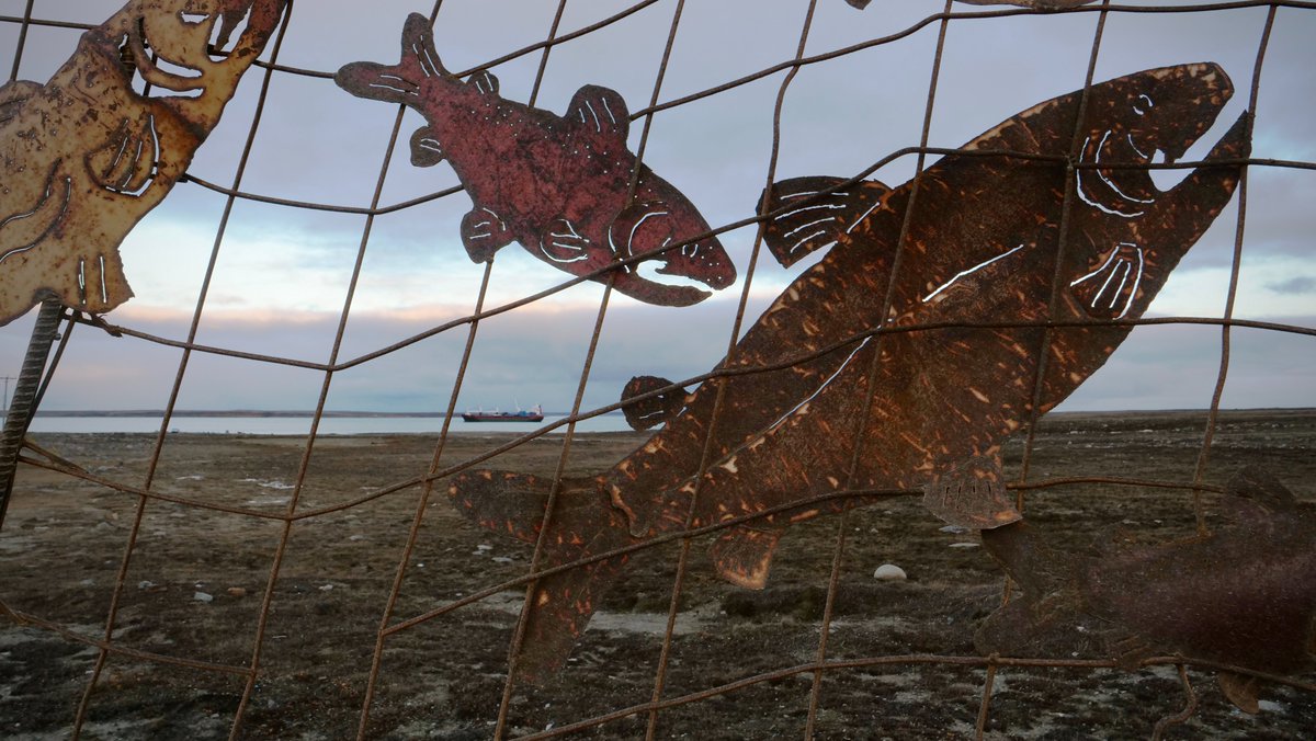 MatisseHarvey's tweet photo. Croisière, garde côtière canadienne, ravitaillement maritime… les navires se succèdent dans la baie près de Cambridge Bay depuis les derniers jours. La communauté d’un peu moins de 2000 habitants est considérée comme l'une des portes d'entrée du passage du Nord-Ouest. #icign https://t.co/lfhSIsT7mR