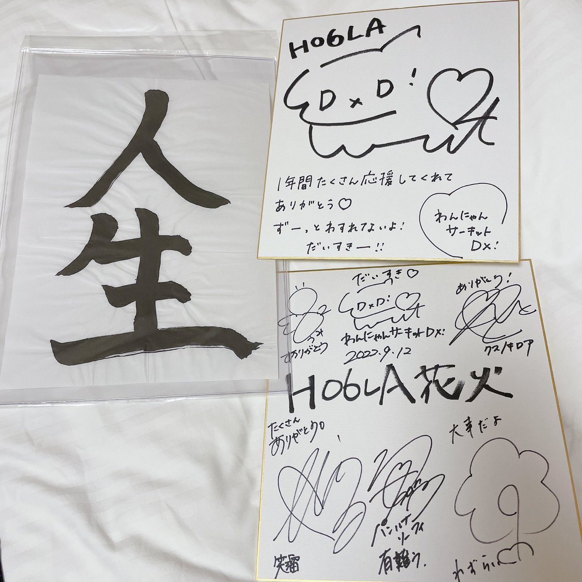 ハル＋🦴 tweet media