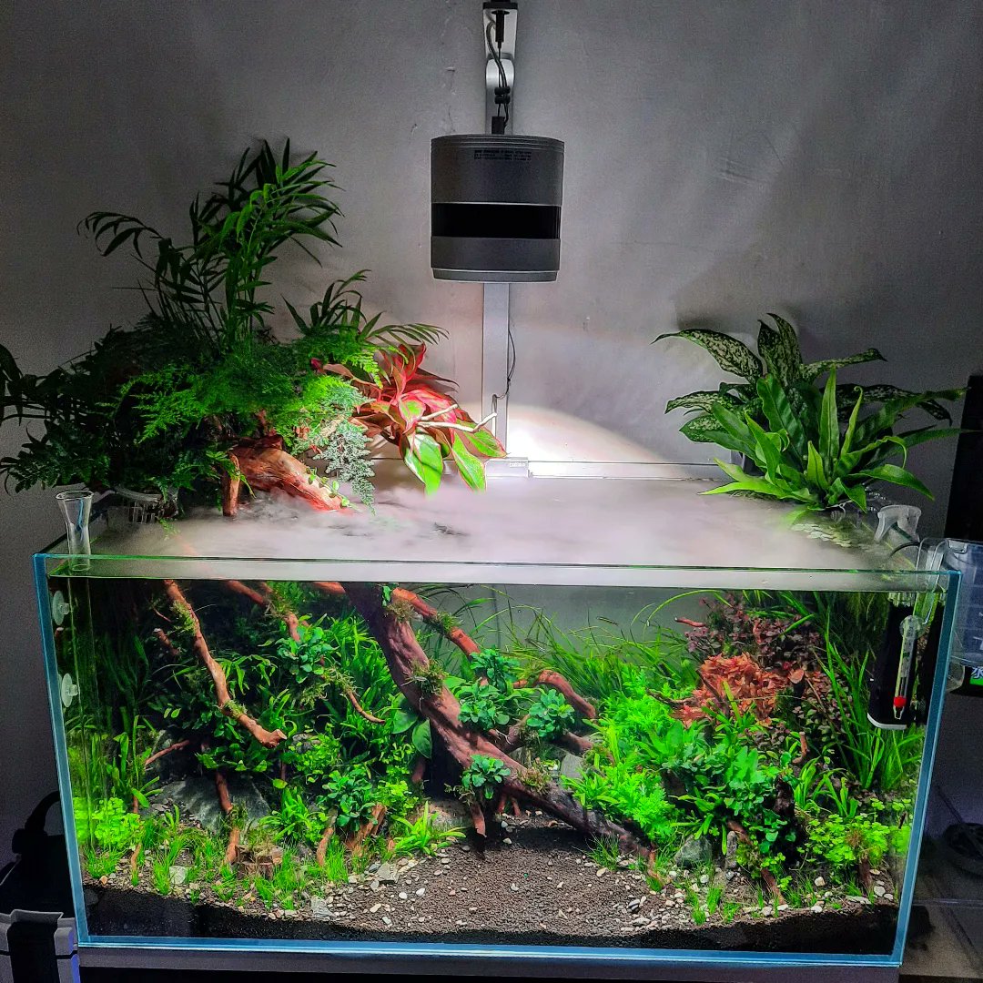 ShrimpMetaverse's tweet photo. #spirituallife #aquariumlife #aquariumhk #healing #spirituality https://t.co/IAM2wDNS46