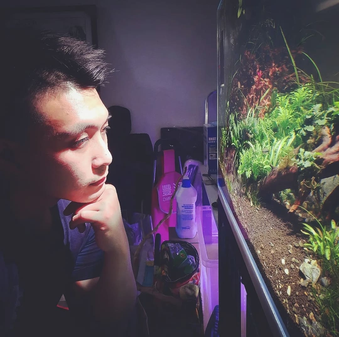 ShrimpMetaverse's tweet photo. #spirituallife #aquariumlife #aquariumhk #healing #spirituality https://t.co/rBjQV7MsBl