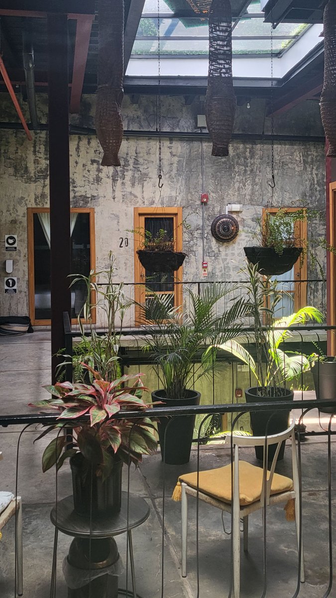 sch_interpreter's tweet photo. International travel does not need to be exhaustive. Stopping by sunny Panama while going to #ALCSummit 2022. Seeing local street art and architecture, getting some incredible Caribbean food and cocktails. https://t.co/I8wVfhcPYV