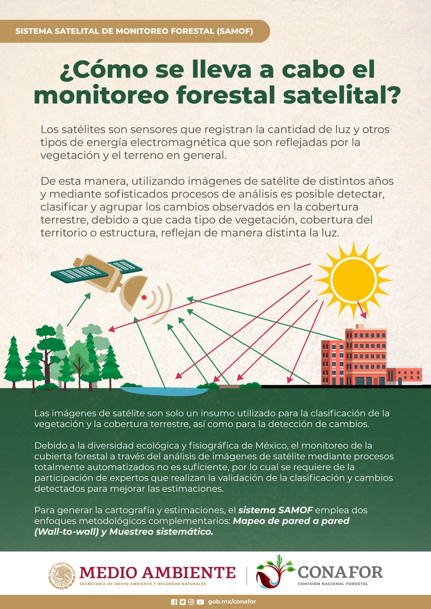 CONAFOR's tweet photo. Ya te presentamos que en #México 🇲🇽 se monitorea la #Deforestación 🏞️➡️🪓🌲➡️🌆 mediante un sistema satelital 🛰️⚙️ llamado #SAMOF.
¿Pero cómo realiza 🤔? ¿Qué función tienen los satélites en todo esto 🛰️?
En esta infografía te lo explicamos ⬇️ https://t.co/RJuXuibeKS