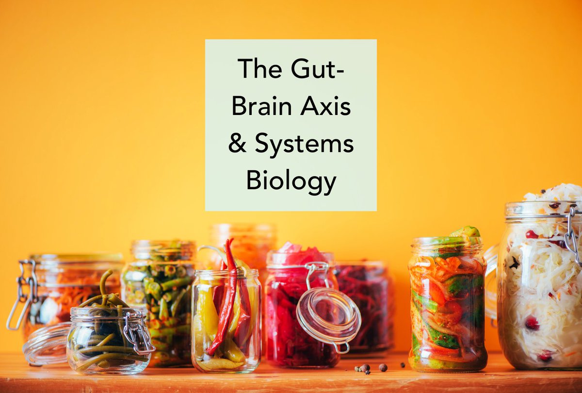 Gut microbes may influence brain development and the processing of sensory information Learn more about the gut-brain axis here: hubs.la/Q01lML2n0