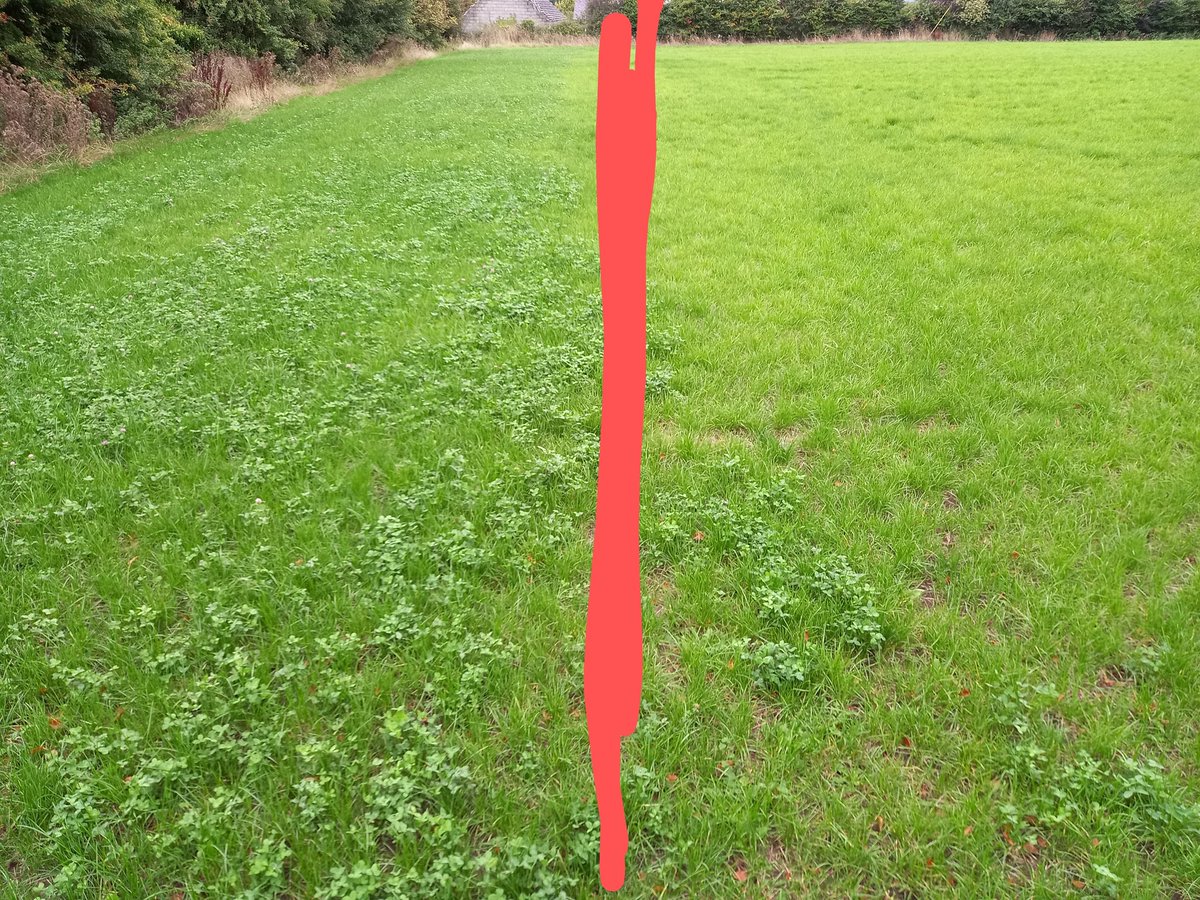 Clover: grass is green
                                no clover: grass is 
             ⬇️                       ⬇️       yellow