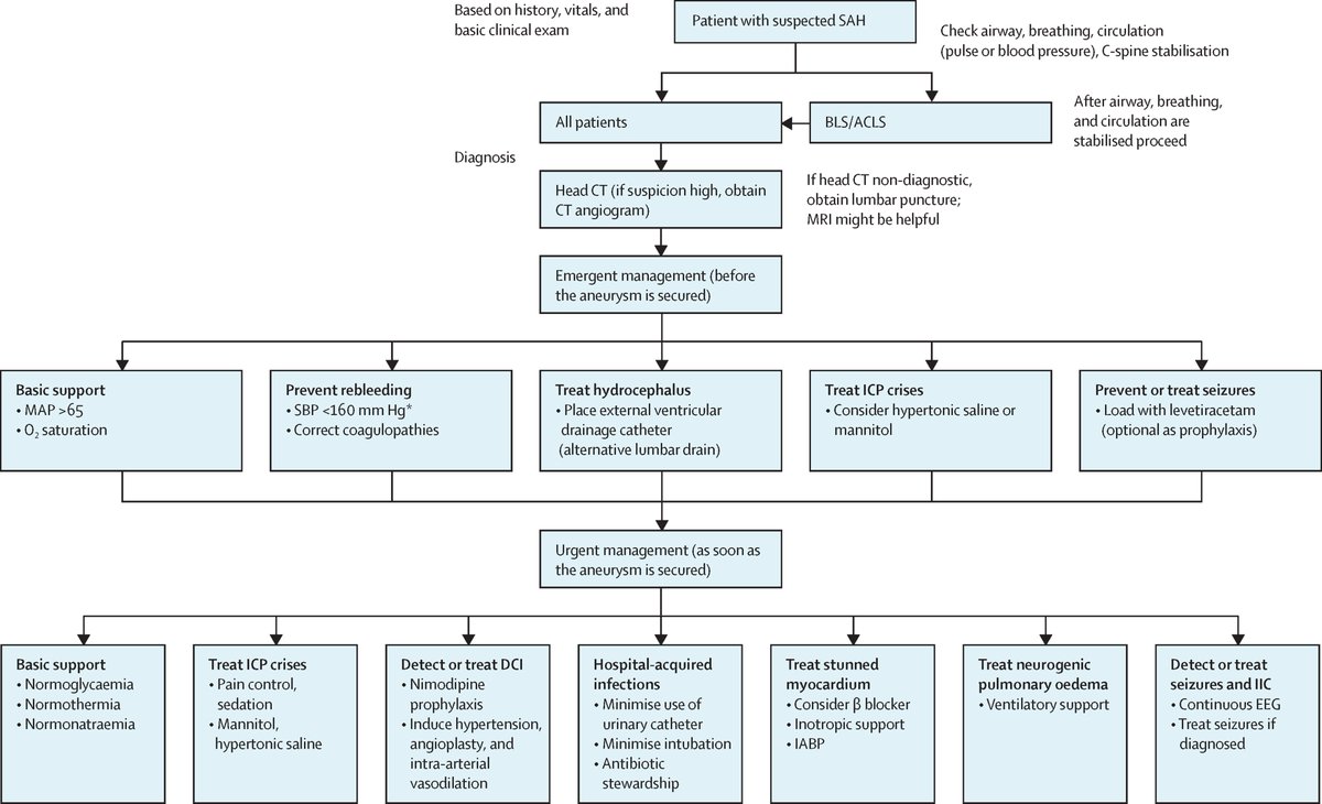 The Lancet (@thelancet) on Twitter photo Aneurysmal subarachnoid haemorrhage continues to have a major public health impact—the mean age of onset is in the mid-50s, leading to years of reduced quality of life.
<a href="/claassen_jan/">jan claassen</a> and @soojin_soojin provide a Seminar: hubs.li/Q01m54y10 Aneurysmal subarachnoid haemorrhage continues to have a major public health impact—the mean age of onset is in the mid-50s, leading to years of reduced quality of life.
<a href="/claassen_jan/">jan claassen</a> and @soojin_soojin provide a Seminar: hubs.li/Q01m54y10