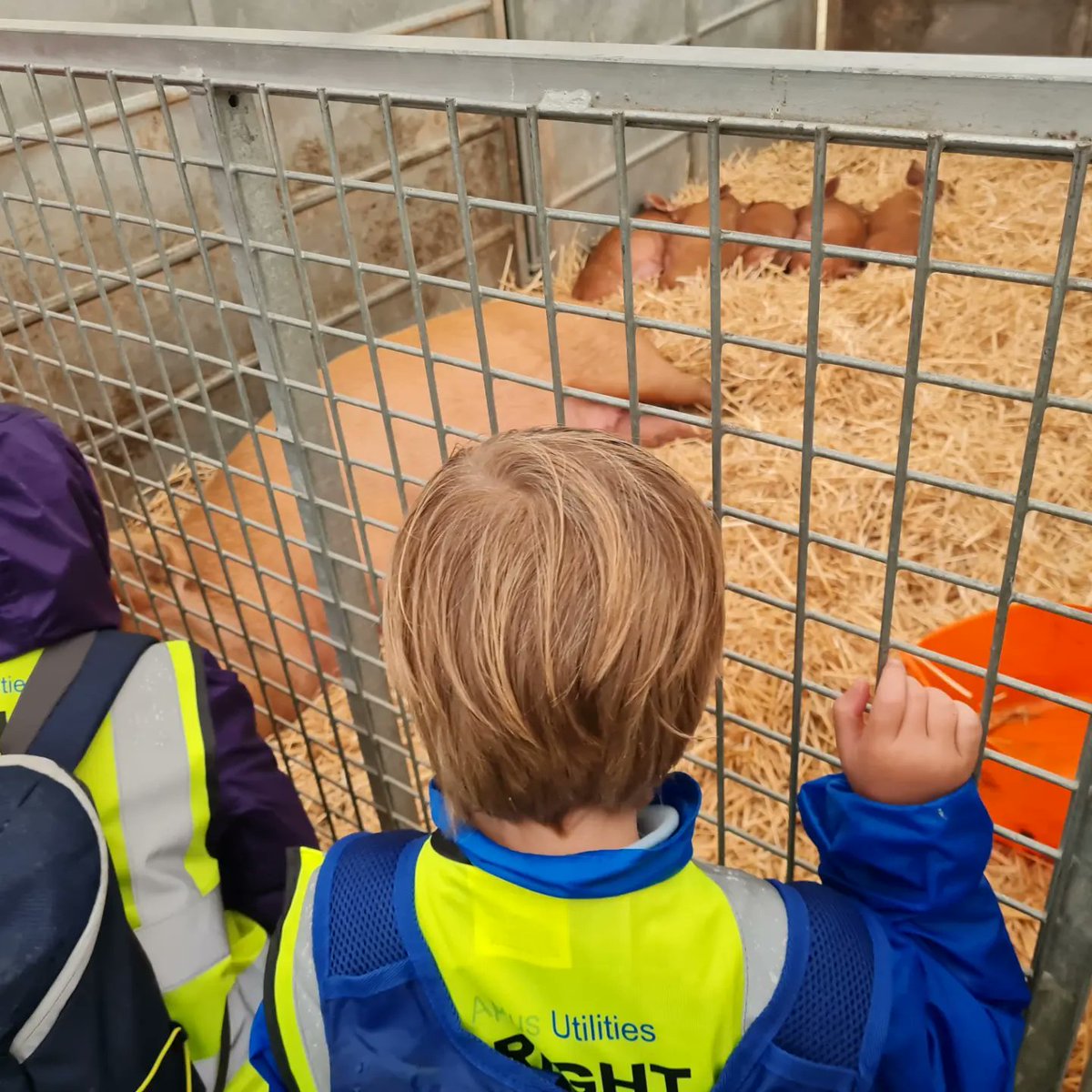 Dent School tweet media