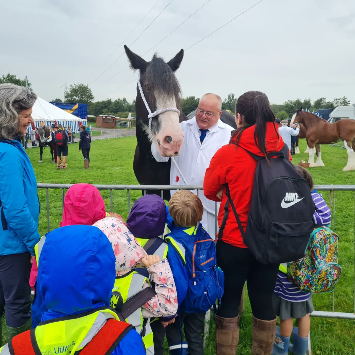 Dent School tweet media