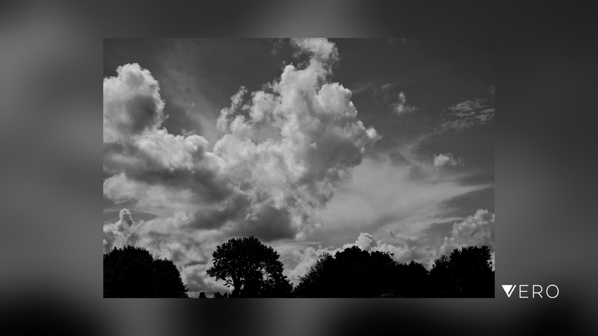 Lady_Jnyx's tweet photo. #20
There’s a storm a brewin’…
#Monochrome #Nature #Tree #Outdoors #Cloud #Sky #Plant #ScenicsNature #LowAngleView #momo #momo2022 #monichrome_monday #prestorm #nikonzfc #zfc #apsc #apscisnotdead #40mmlens #z40 https://t.co/iWJ5I9995f https://t.co/rnO538vhdP