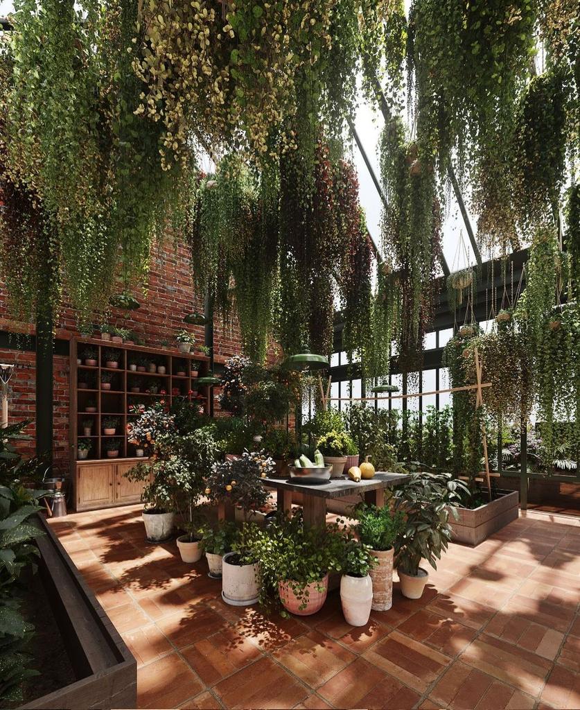 Houseplant Hobbyist tweet media