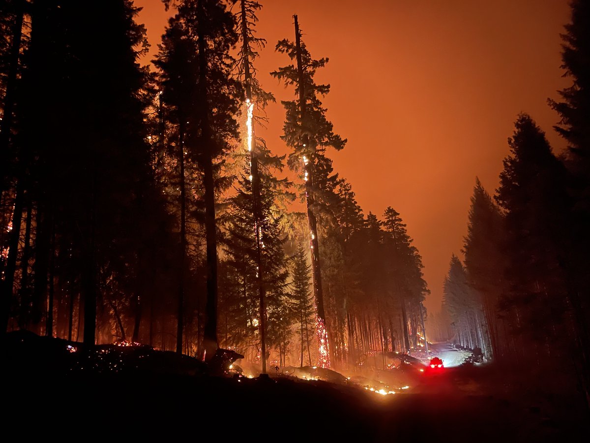 OSFM's tweet photo. The #CedarCreekFire stands at 86,734 acres. The Lane County Sheriff’s Office lowered some evacuation levels yesterday. 

We've posted the latest information to the OSFM Incident Info blog. 

LINK: https://t.co/u5EbPEEJts

#wildfire #oregon https://t.co/axhUA8TWz6