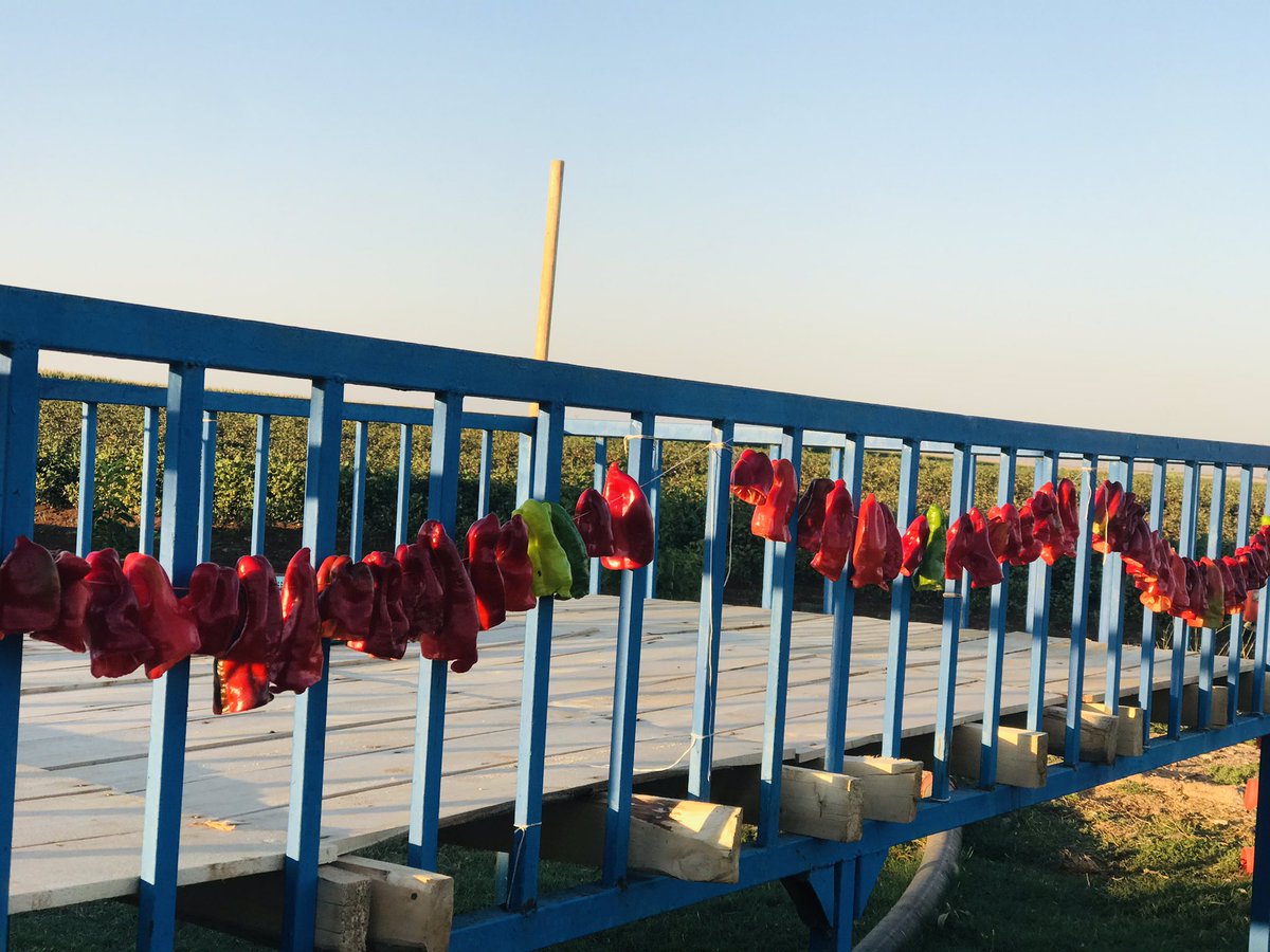 Konumu belirtmeme gerek yok sanırım.
#isotşov 😅