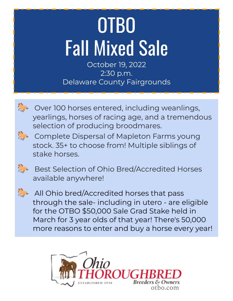 OTBO (@otbo1) on Twitter photo 