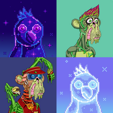 Pumping Parrots - SOLD OUT tweet media