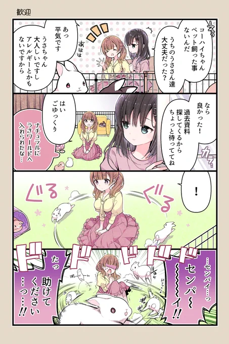 歓迎🐰

次回更新は明後日です
#うさきょ #4コマ 