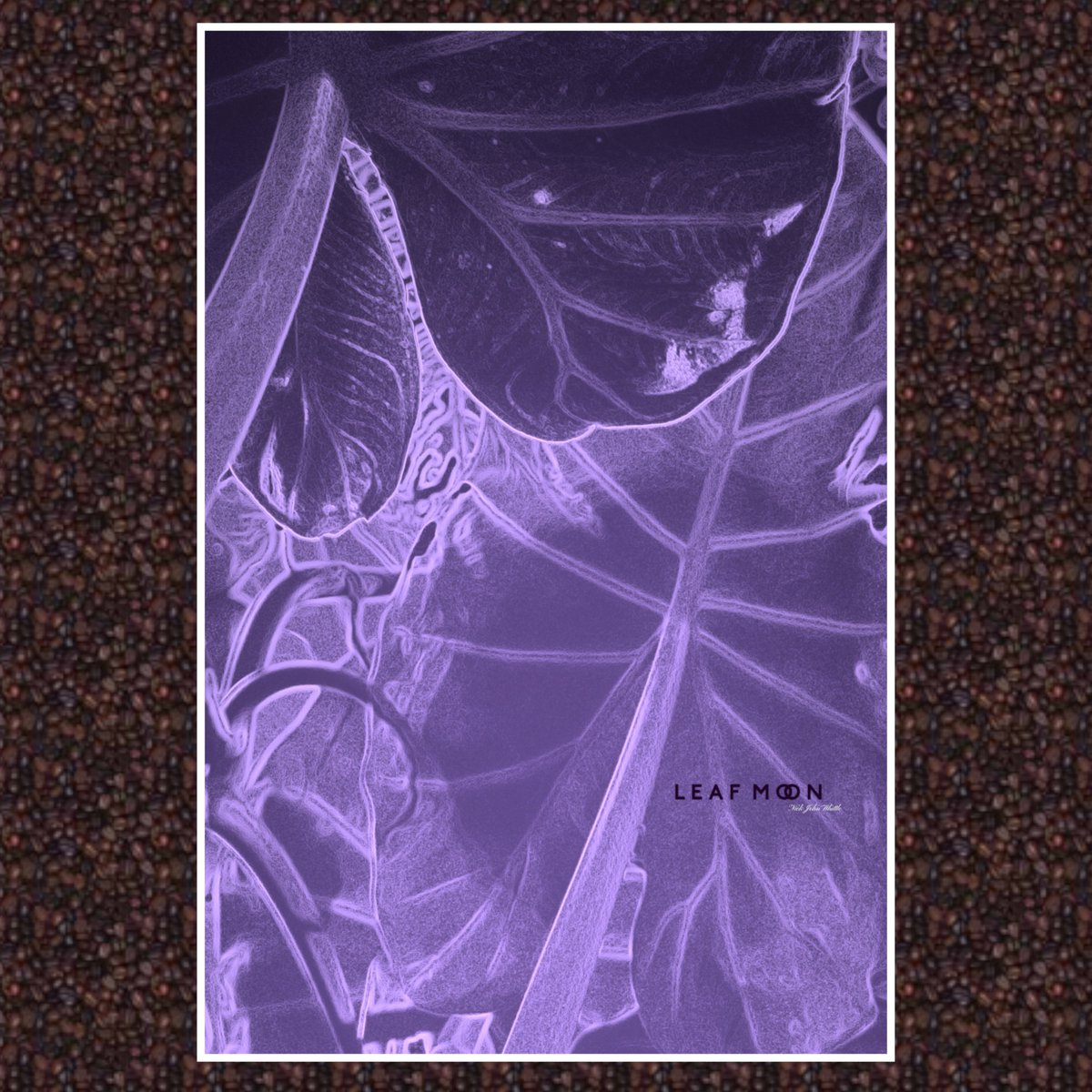 Leaf Moon 'Fantasie'...#plants #plantprint #leafmoon #houseplantsofinstagram #plantart #plantanatomy #alocasia #leaf #foliage #botanical #makebelieve #fantasy #lightandshade #forest #forestmagic #fantasyart #photography #photoart #arty #houseplants #posterart #digitalart #etsyuk