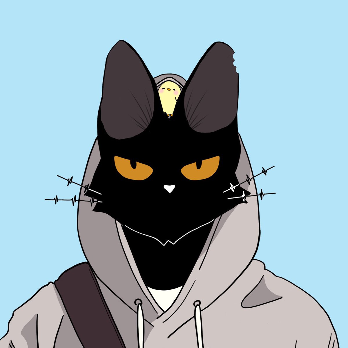 🐈‍⬛ Black Cat | FREE MINT TODAY tweet media