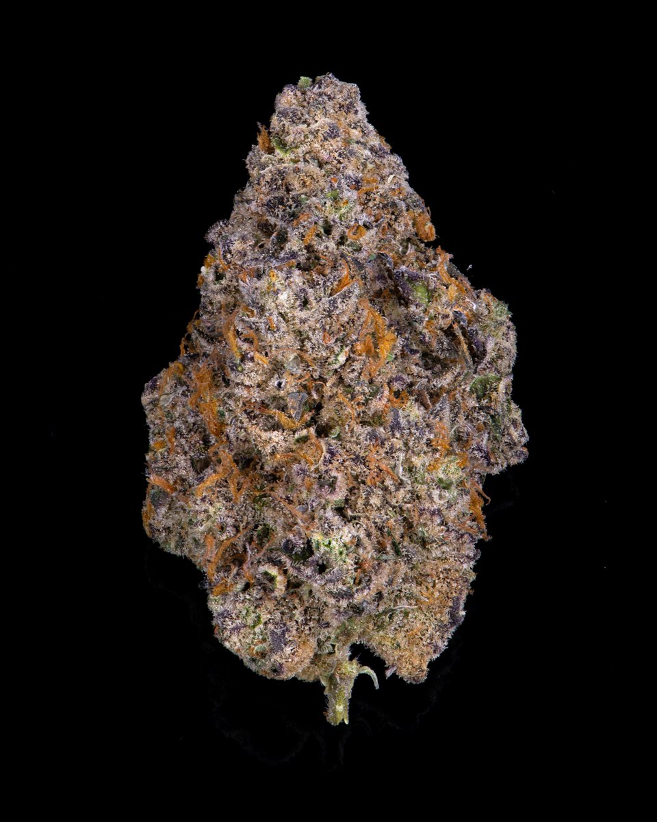 cookiesglobal's tweet photo. MadCow grown { Cheetah Piss } 🐆💦 https://t.co/O5hwFGfQbH