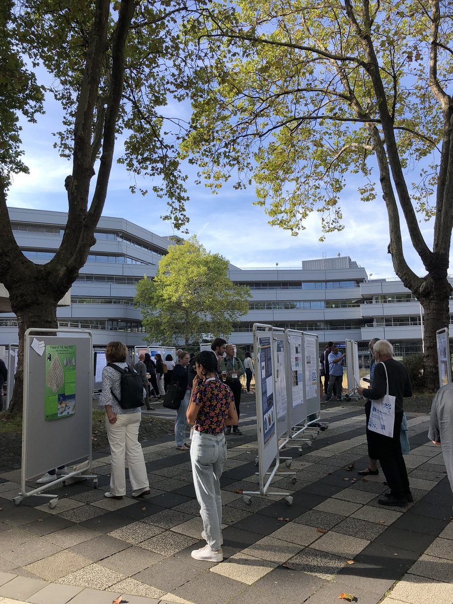 mab_2607's tweet photo. A very long but also very interesting and conversational first day of the #GeoMinKöln is over. 
I will talk about #PySILLS, a newly developed #Python-based data reduction tool of #LAICPMS experiments on Wednesday morning. 
I‘m glad about the next days!

#geosciences #phdlife https://t.co/yvPixsddwt