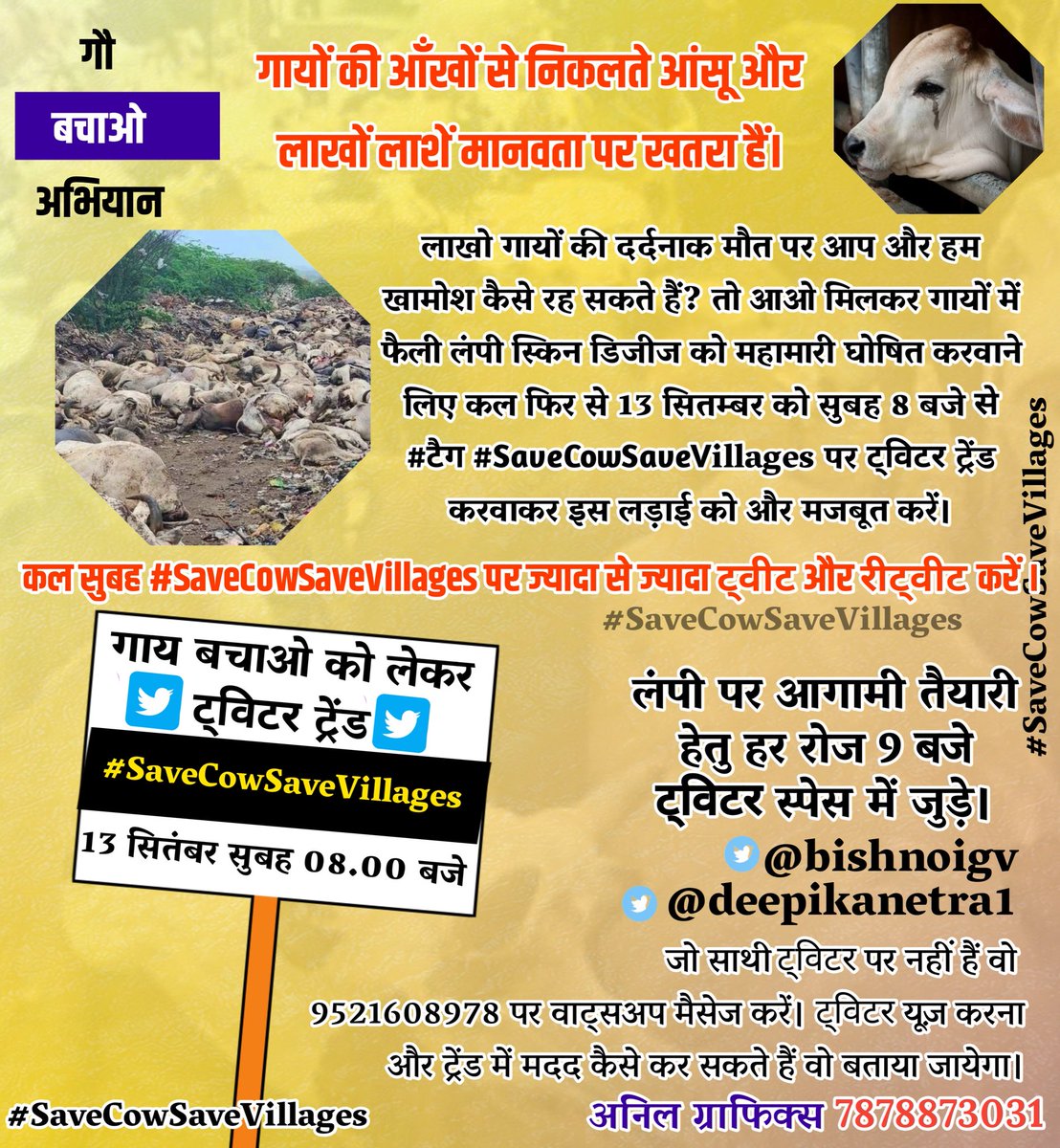 Themukesharma's tweet photo. हम सबका संघठित प्रयास रंग ला रहा हैं
मा.PM से लेकर CM और नेता भी अब लम्पी पर चुपी तोड़ रहे हैं,
तो आओ हमसब मिलकर गायों में फैली लम्पी ��ो महामारी घोषित करवाने लिए कल फिर से 13 sep को सुबह 8 बजे से #टैग #SaveCowSaveVillages पर ट्विटर ट्रेंड करवाए ll
यह लड़ाई मानवता को बचाने की हैं। https://t.co/RxDd2J2v4K