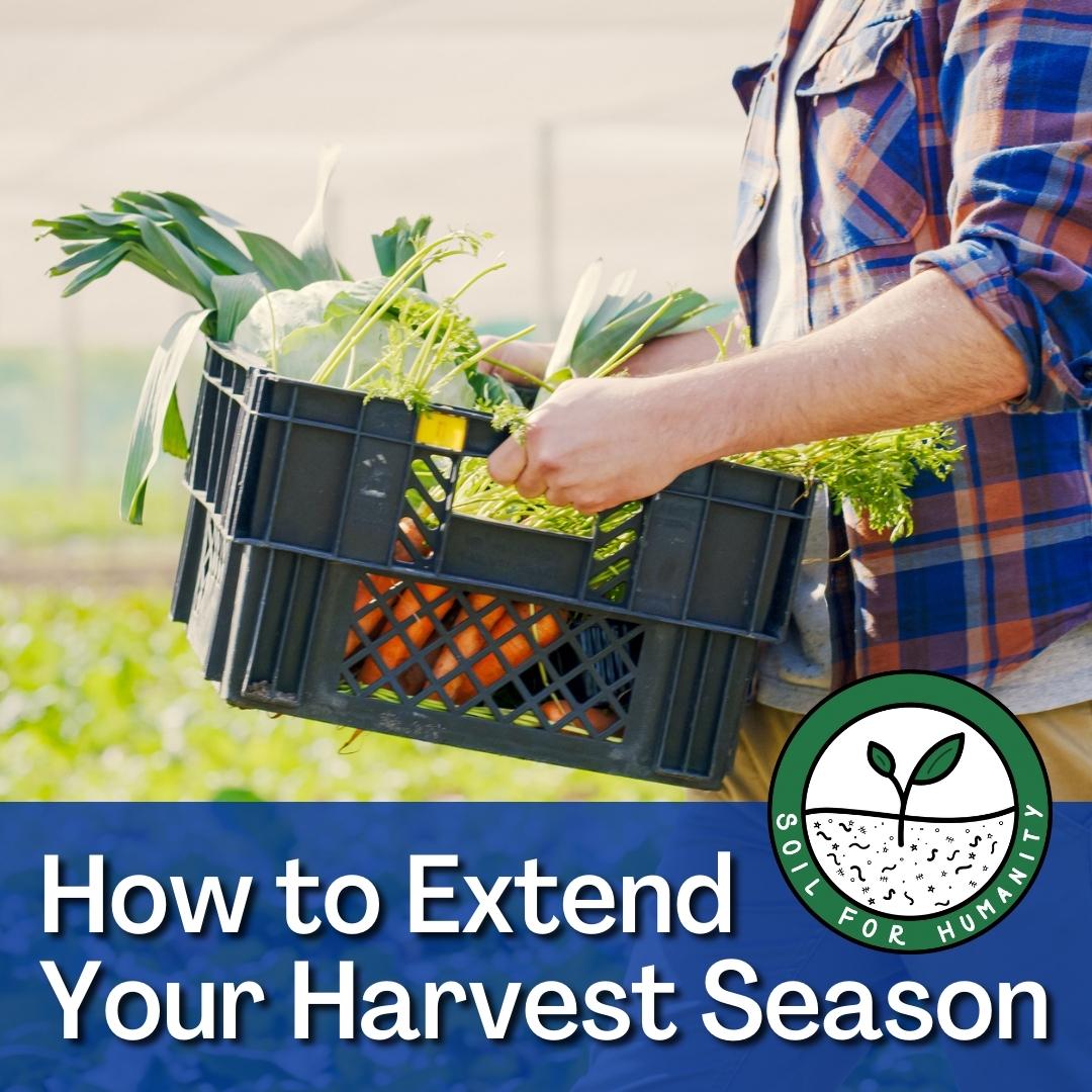 soilforhumanity's tweet photo. Looking to make a bit more profit this year off your farm, market garden or homestead? Here are some suggestions to extend that harvest into late fall and winter, even in colder climates: https://t.co/Vm7CCAhRrm #fallfarming #winteriscoming #soilhealth #farmthesoil https://t.co/GiXjdtNyU3