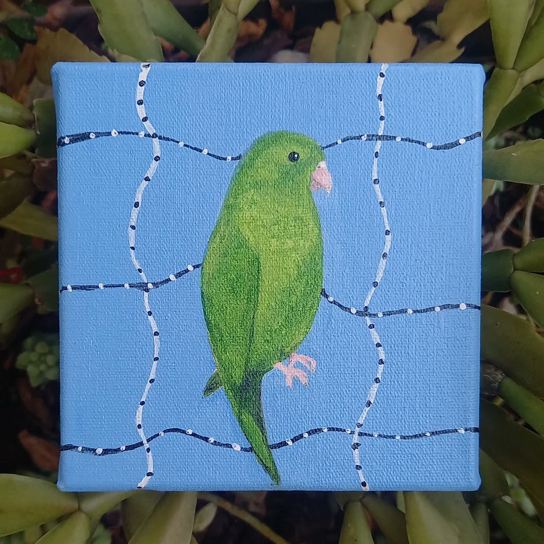 desenhos_da_ca's tweet photo. Mais um pedido la no tiktok!
#art #artist #arte #artista #desenho #drawing #pintura #painting #desenhosdaca  #animal #animals #amateur #tela #canvas #nature #natureza #tiktok #acrilicpainting #periquito #papagaio https://t.co/309TmPnfAG
