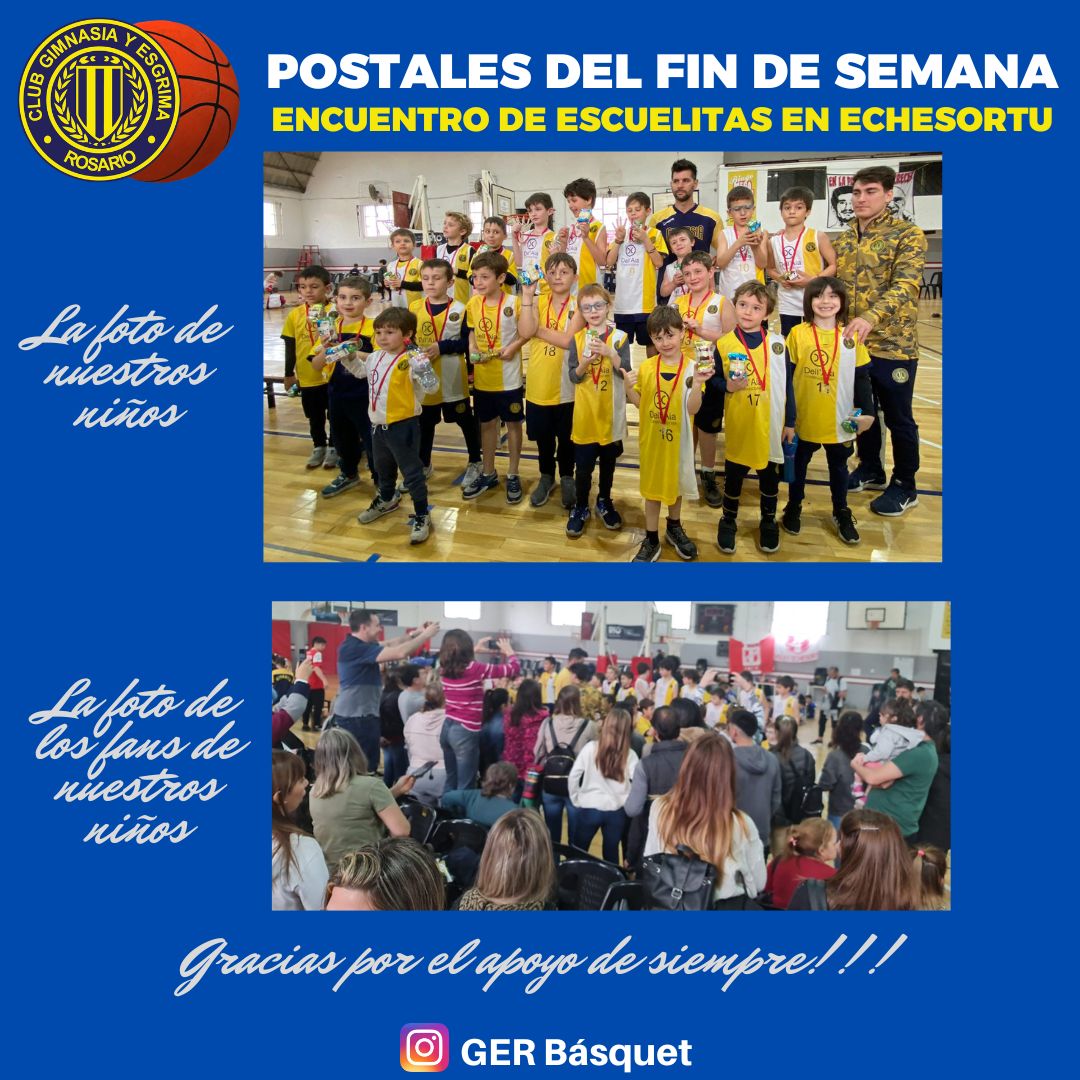 GER Basquet tweet media