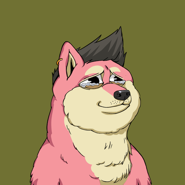 doublemny's tweet photo. Hi new @DogecoinRide fam !!!
#DogeCoinRide https://t.co/dMjCiuazkR