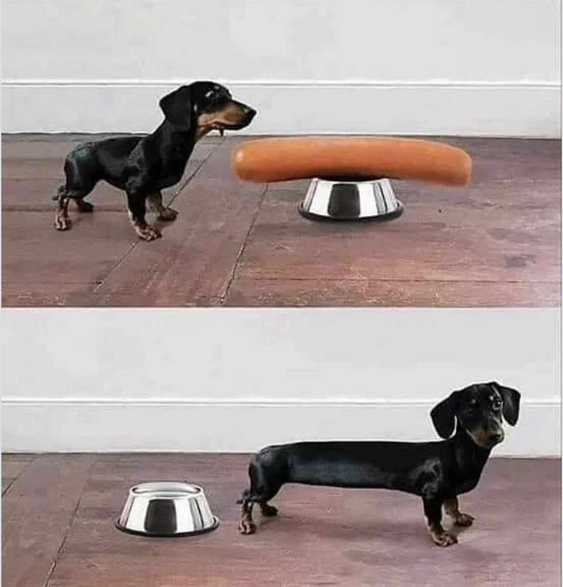 E foi assim que tudo começou