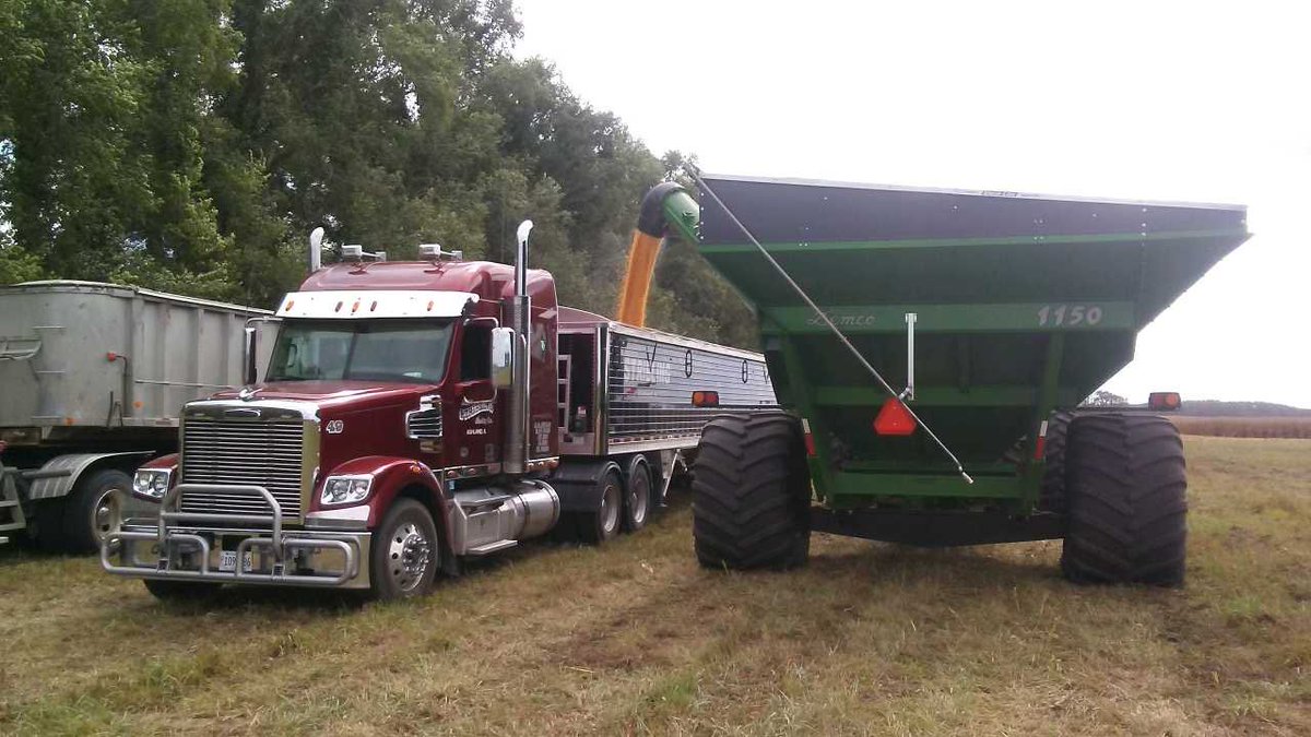 Mark Stribling tweet media