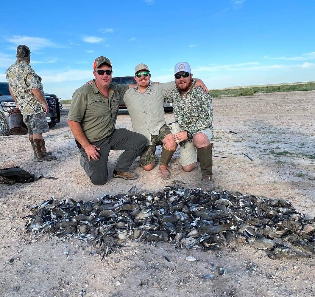bigaljack's tweet photo. Had a fantastic dove hunt this weekend in Balmorhea TX this weekend with @UncleLuke02 @TomTheBomb_27
Sunflowers really bring the birds! https://t.co/rFccQgs2CG
