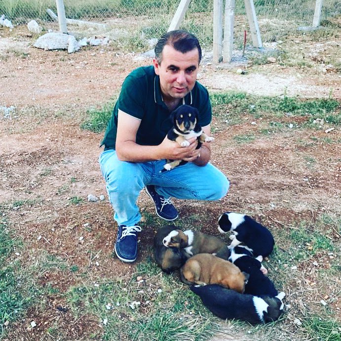 civilhsynarsln's tweet photo. Hayvanları tanıdıkça insanlardan soğuyorsun… https://t.co/FVqAnqgwZN