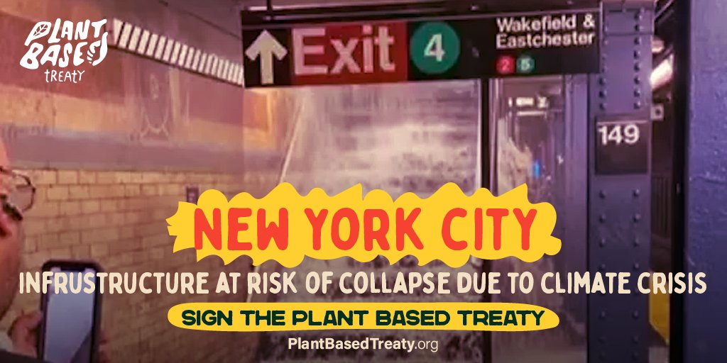 Toronto Chicken Save tweet media