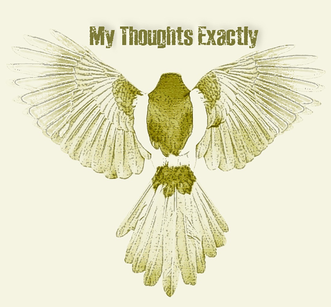 The Box Live met nieuwe nl Rocksensatie My Thoughts Exactly. facebook.com/events/8296736… #30PLUS, #40PLUS, #50PLUS, #BOLLENSTREEK, #GEWOONKUNNENPRATEN, #KATTUK, #KATWIJK, #LEKKERDANSEN, #LEKKERVOLUME, #LIVEMUSIC, #LIVEMUZIEKCAFE, #MUZIEKCENTRUM, #POPPODIUM, #ROCK, #THEBOX,