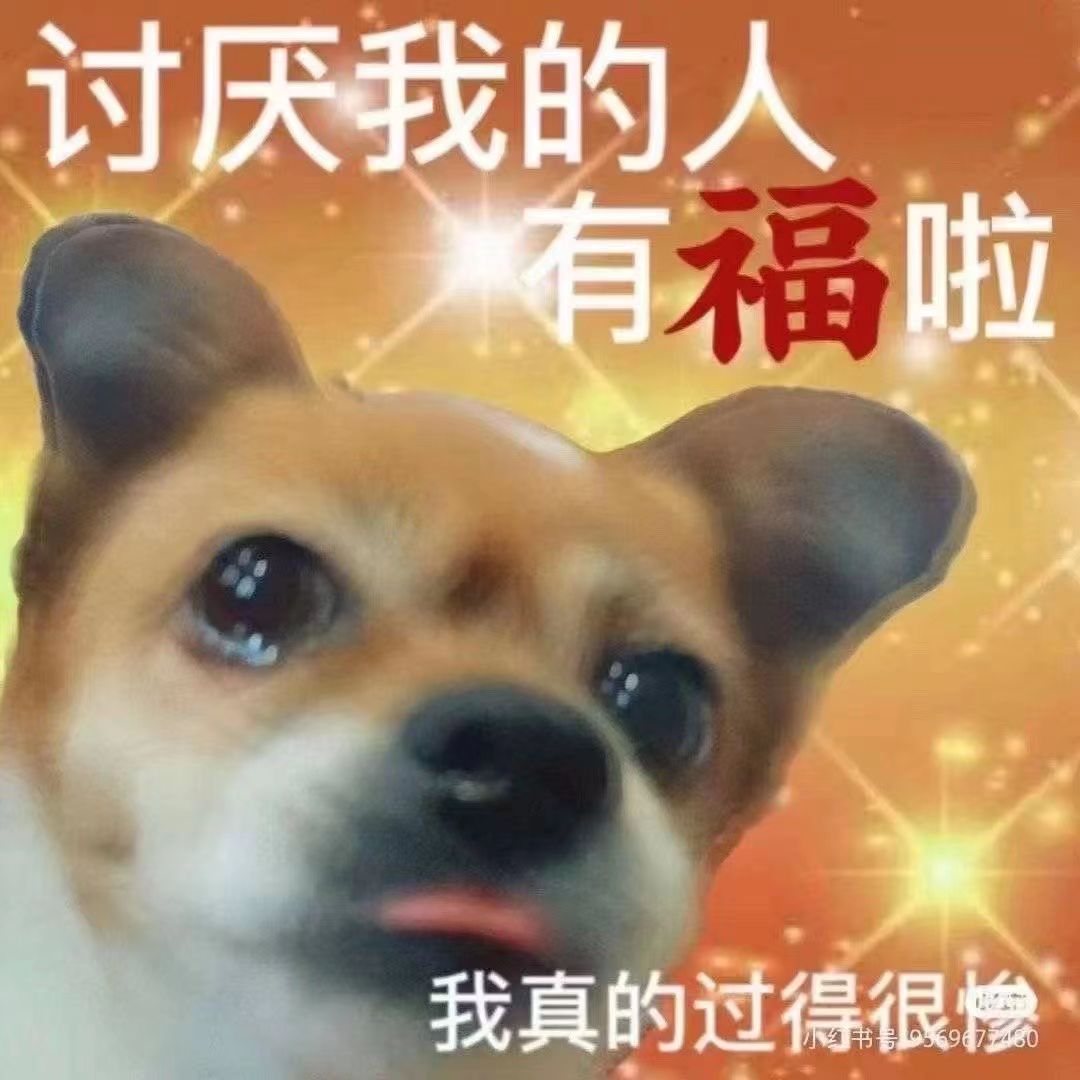 shsnlian's tweet photo. 没发推的日子就是在被生活强奸 😆现在已经快喘不上气了 b疫情 傻逼学校 脑瘫们 我操你们所有人的妈捏 https://t.co/xY8G1zx9zO