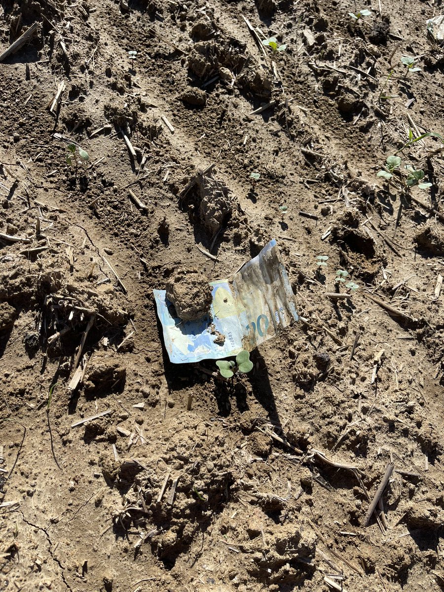 Les gens jettent vraiment tout et n’importe quoi sur le bord des routes #dépôtssauvages Mais pour une fois, dommage qu’il n’y en ai pas plus …🤣