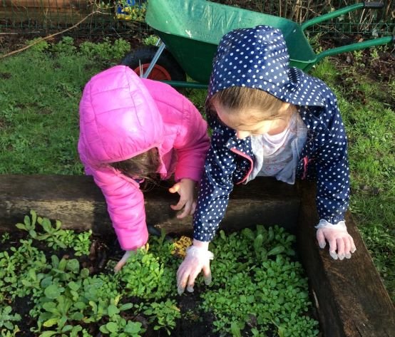 SomersetGTrust's tweet photo. #Somerset #schools! We can help fund your school #garden project with grants of up to £350; more info and application forms on  https://t.co/kmNrncDtiu
Deadline for #autumn term 17 October 2022 https://t.co/l55fJ3aRQT