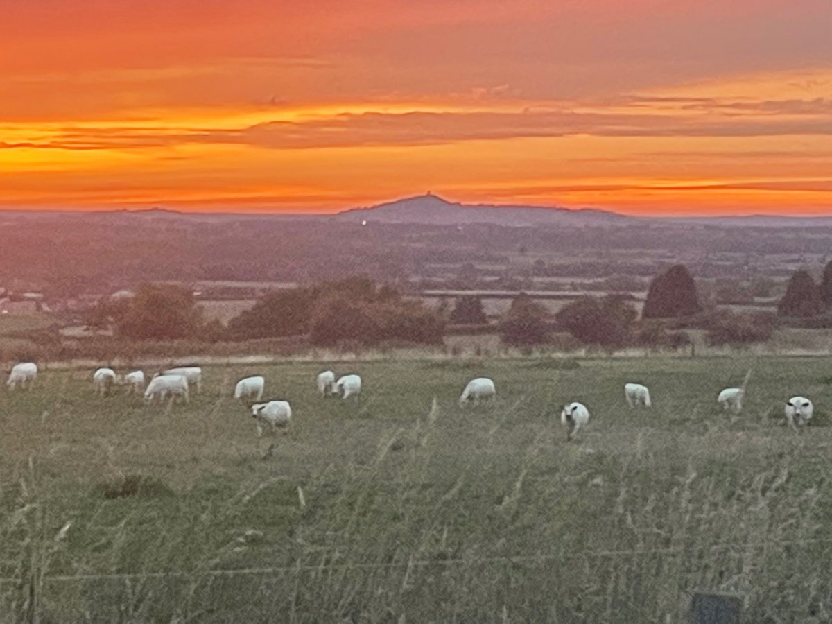 Not a bad evening for Farmer to be out on his bike😎