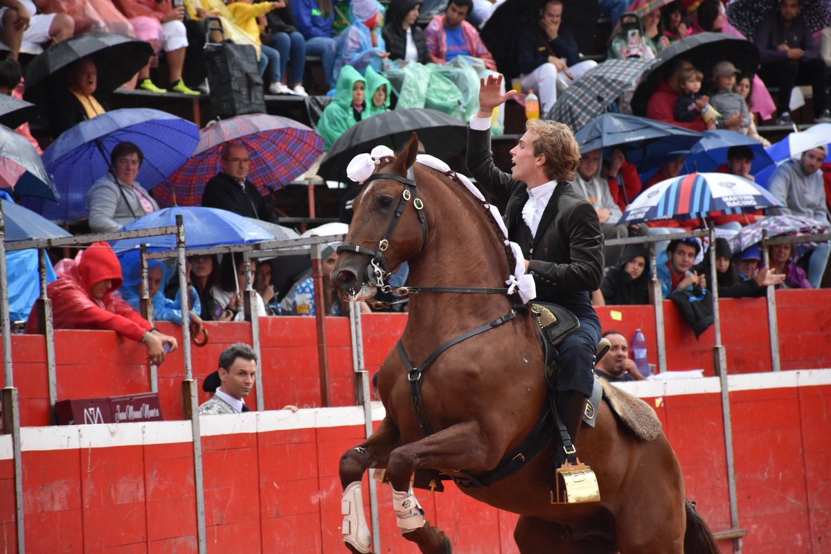 🔵 Riaza | Andrés Romero, Juan Manuel Munera y Duarte Fernandes cortan una oreja cada uno en el festejo de rejones

➡️ Crónica y fotos: un arcoíris entre un chaparrón
eladelantado.com/provincia-de-s…