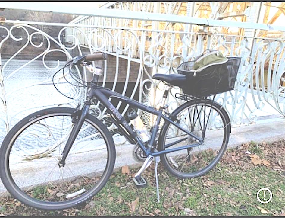 Gretchen Elise Music tweet media