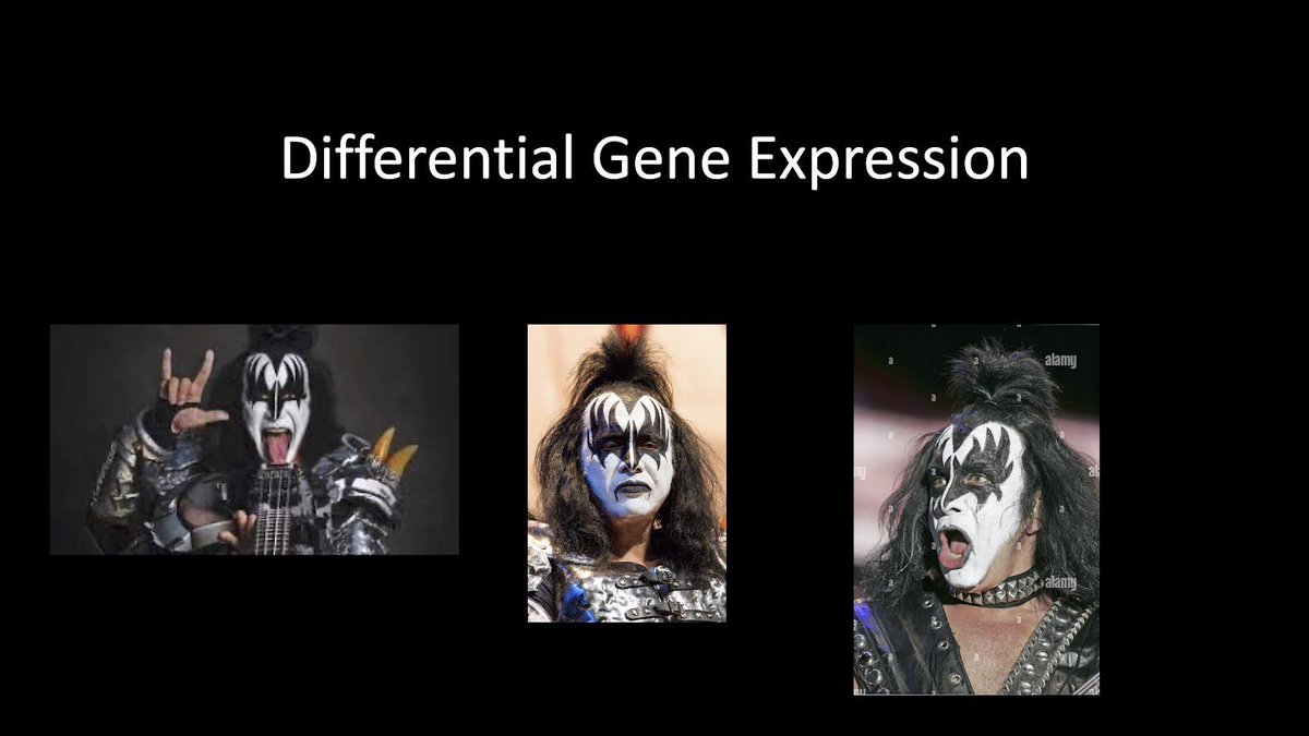 mick_yoder's tweet photo. Disappointed that I had to explain my lecture title slide to my Dev Bio class. #jokefail #devbio https://t.co/xab1GZIYel