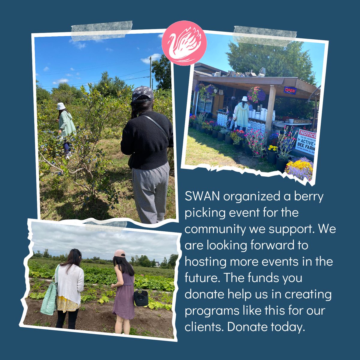 SWAN_Vancouver's tweet photo. SWAN organized a berry picking event for the community we support this summer! https://t.co/N0IjS8ItY6