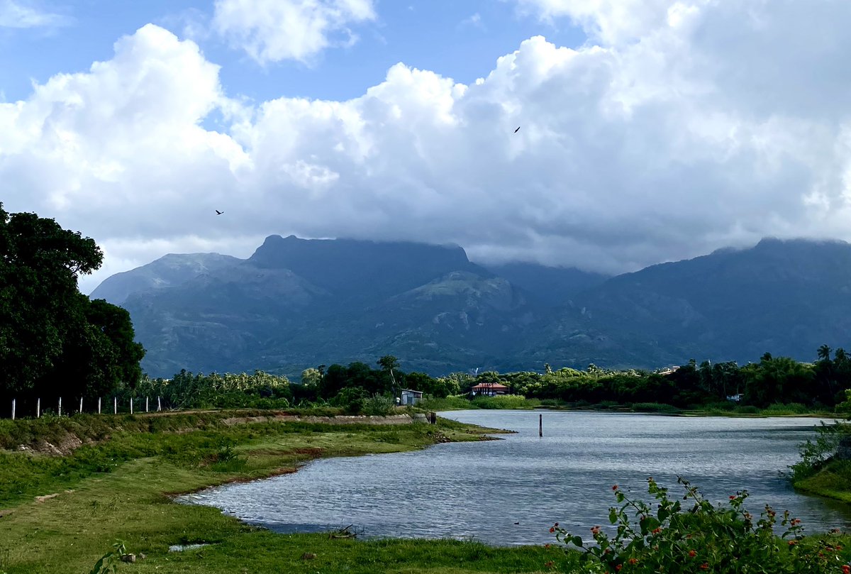 Kris_A_Chandar's tweet photo. A corner of my village that extends to the end of the world #westernghats #mountains #nature #Beauty #coutrallam #india #tamilnadutourism #photography #transimage https://t.co/wNlkWf0SBg
