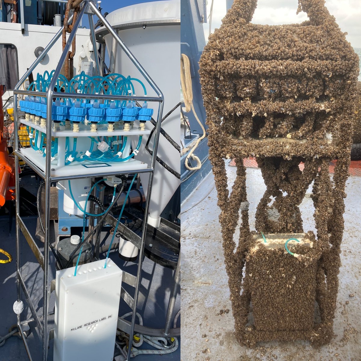 #FieldFriday Before and after a #PPS deployment.  @NewellLab