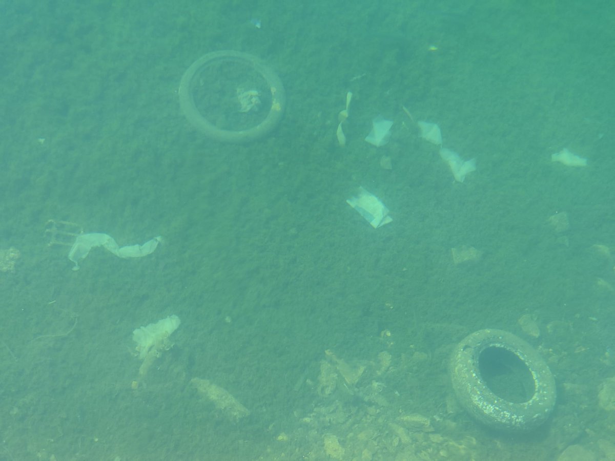 seaclearproject's tweet photo. The water at our test site in Marseille was exceptionally clear today. It shows that the #SeaClear system has a LOT of work to do.
#RobotsHelpingEarth https://t.co/89NQqaL3Iy