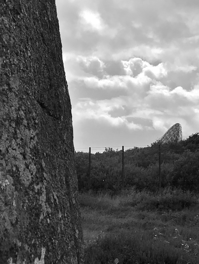 Hookland tweet media