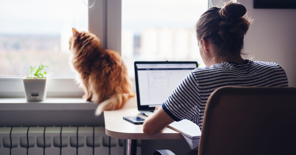 soltechatlanta's tweet photo. Are you considering a new career with remote work options? We know how important it is to maintain your balance life outside of the office. We offer our team competitive benefits, Apply today: https://t.co/EwSwN0BwG8 https://t.co/tWAL6XEfSB