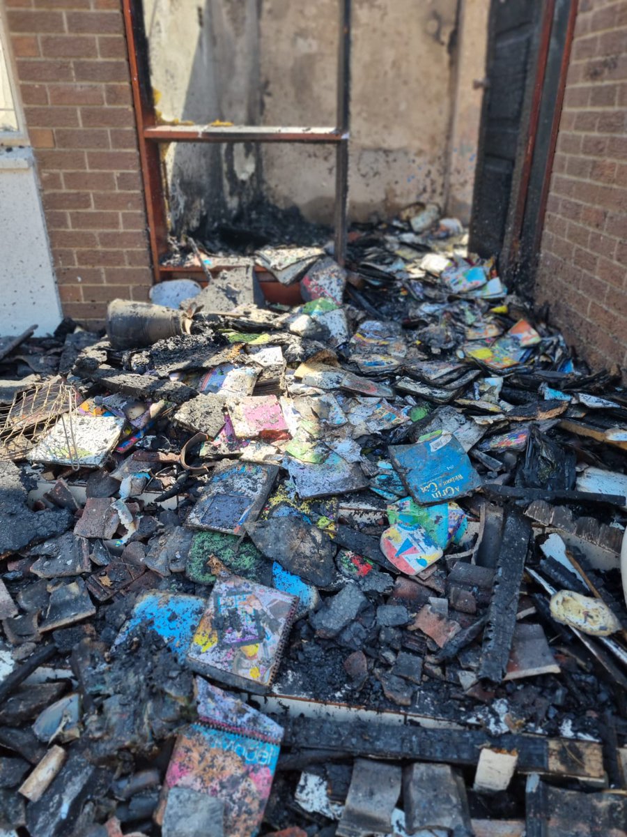 David Bischof tweet media