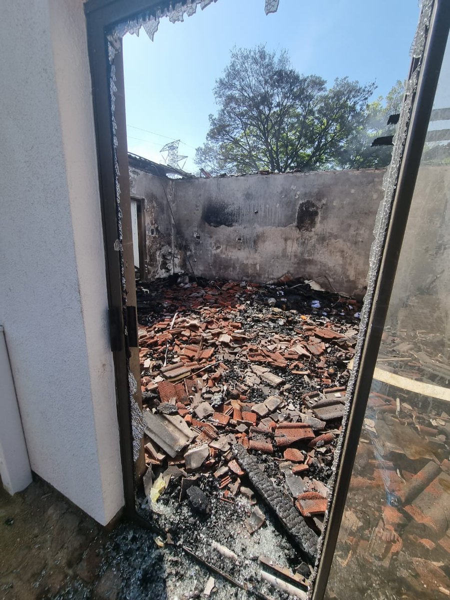 David Bischof tweet media