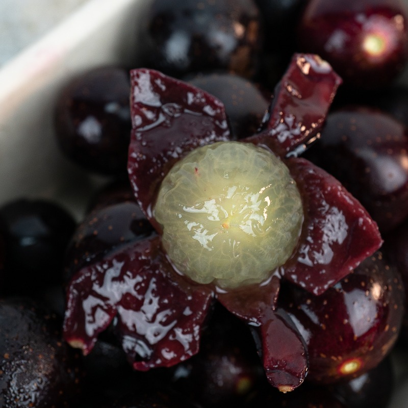 SpecialtyProd's tweet photo. Muscadine grapes have a super short season at the end of summer so don't miss out! #specialtyproduce #muscadinegrapes #grapes